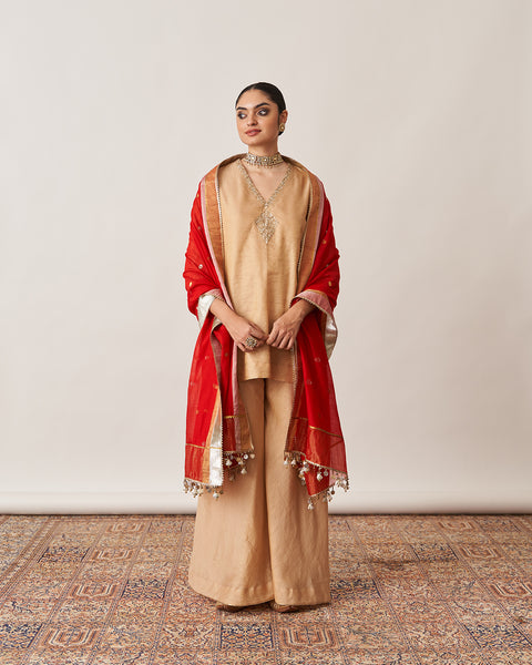The Gold Silk Tissue Chanderi Gharara Set with Pittha Handwork