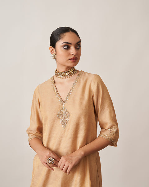 The Gold Silk Tissue Chanderi Gharara Set with Pittha Handwork