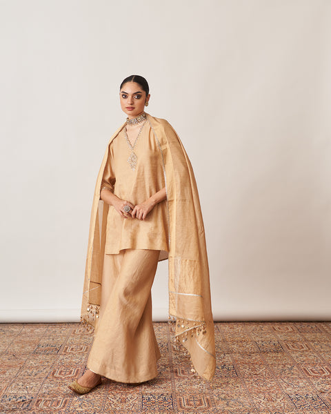 The Gold Silk Tissue Chanderi Gharara Set with Pittha Handwork