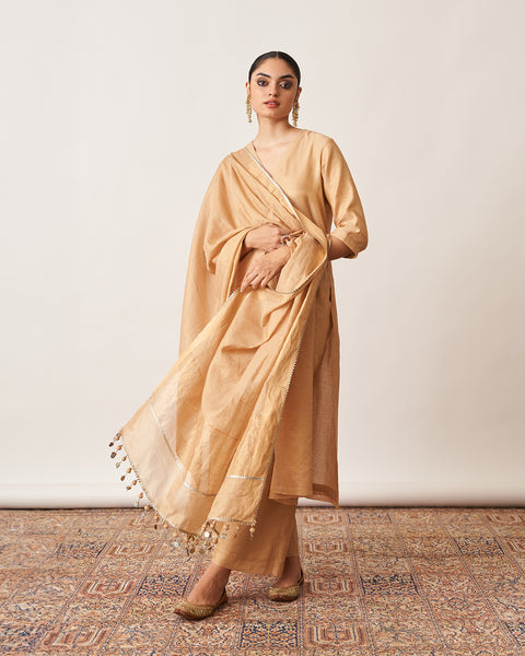 The Gold Silk Tissue Chanderi Dupatta