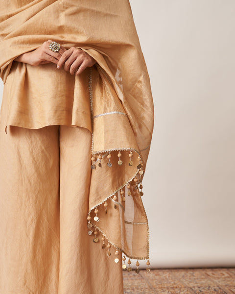 The Gold Silk Tissue Chanderi Dupatta