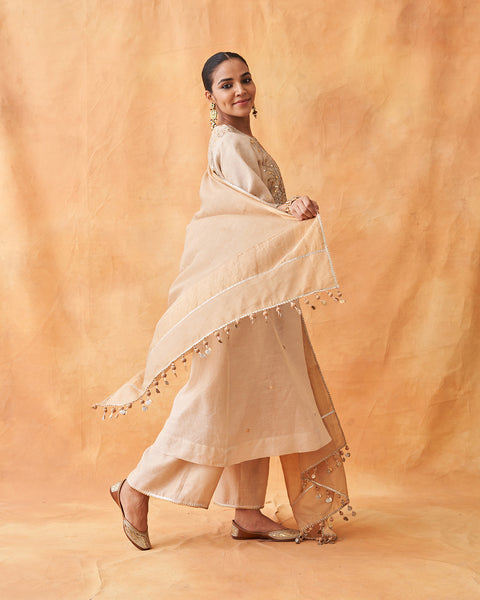 The Gold Silk Tissue Chanderi Dupatta