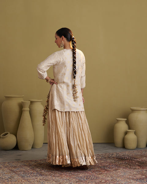The Sona Chandi Banarasi Muga Silk Top with Handwork