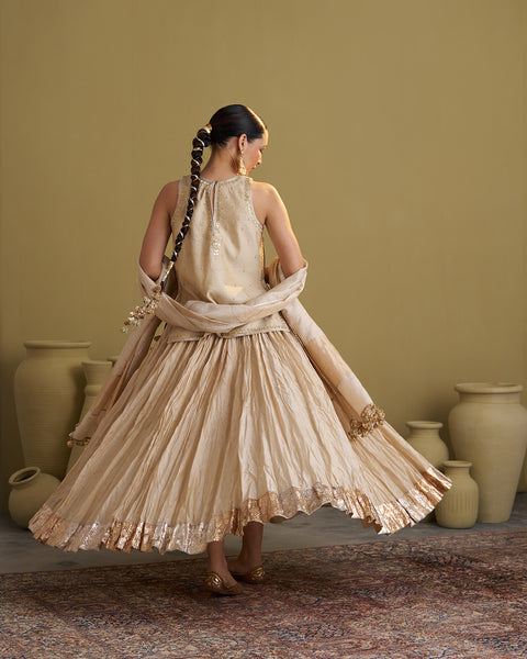 Gold Silk Tissue Dupatta with Gota Jaal