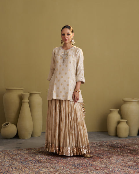 The Sona Chandi Banarasi Muga Silk Top with Handwork
