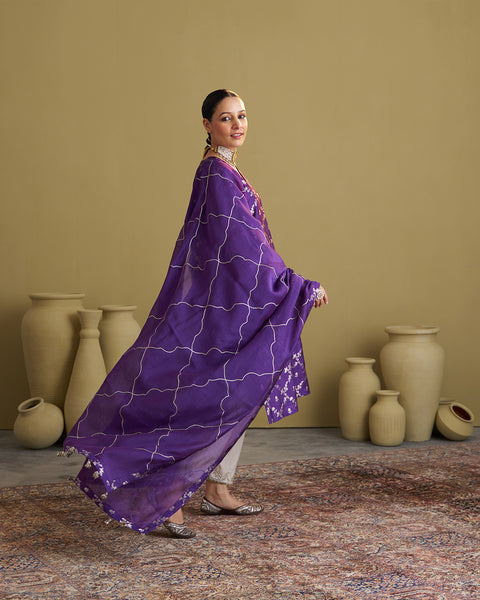 The Jamuni Purple Banarasi Katan Silk Set