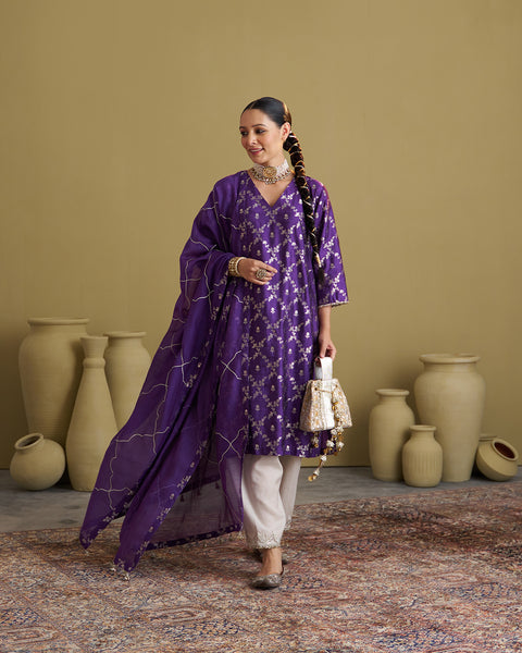 The Jamuni Purple Banarasi Katan Silk Set