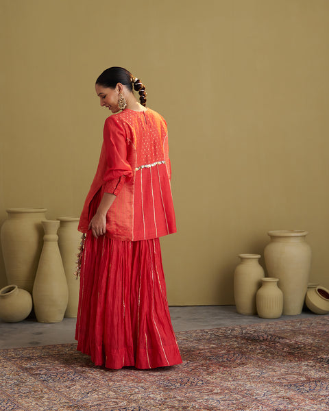 The Alta Red Silk Chanderi & Banarasi Top with Handwork