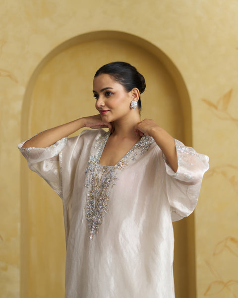 The Silver Pearl Banarasi Reshami Tissue Set